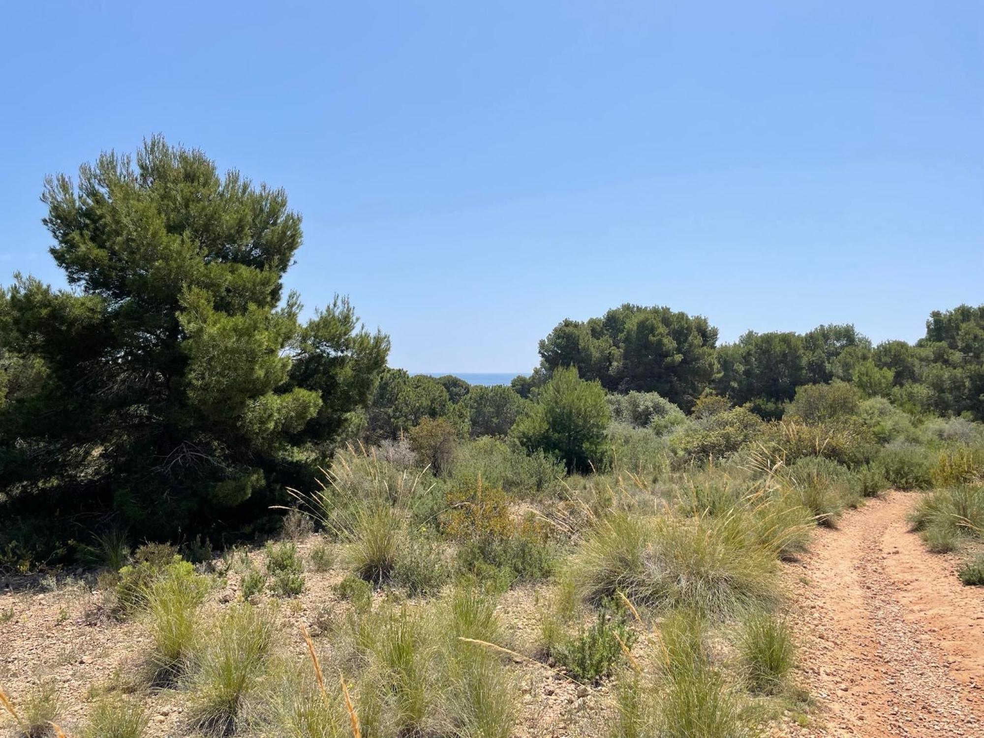 Beach House Relax Gran Alacant Εξωτερικό φωτογραφία